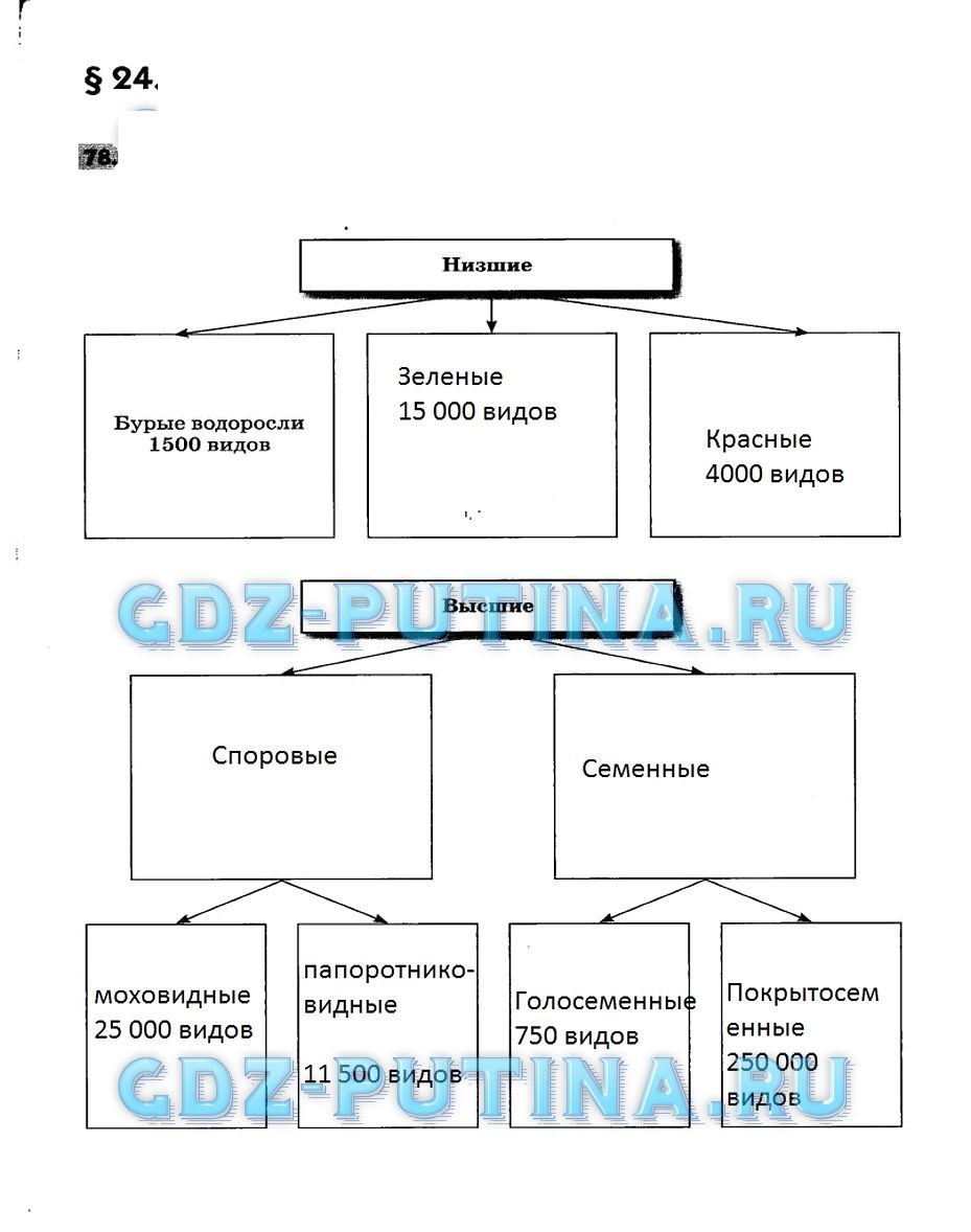 Заполните схему многообразие растений укажите также примерное число