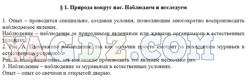 Зачем живые организмы запасают питательные вещества презентация 5 класс сухова строганов