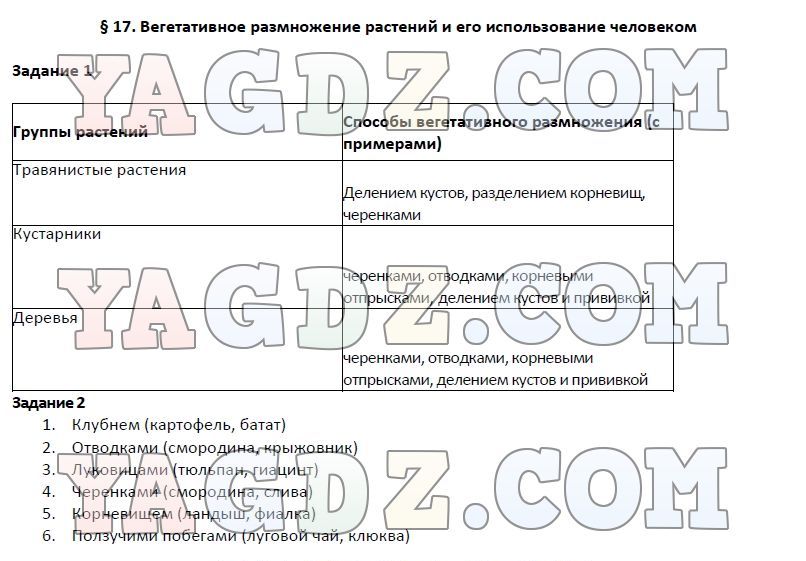 Проект по биологии 6 класс на тему размножение растений