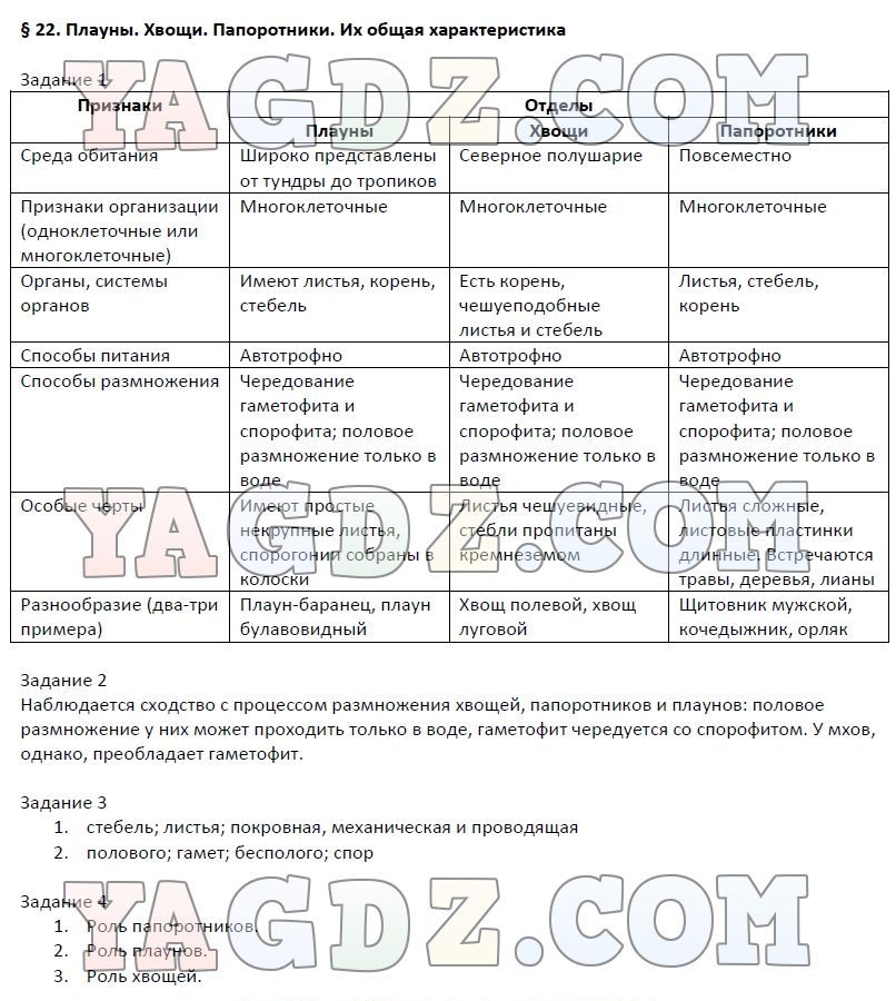 Биология 6 класс рабочая тетрадь страница 22. Сравнение папоротников хвощей и плаунов таблица. Сравнительная таблица папоротников хвощей и плаунов. Сравнительная характеристика папоротников хвощей и плаунов. Характеристика плауны хвощи папоротники.