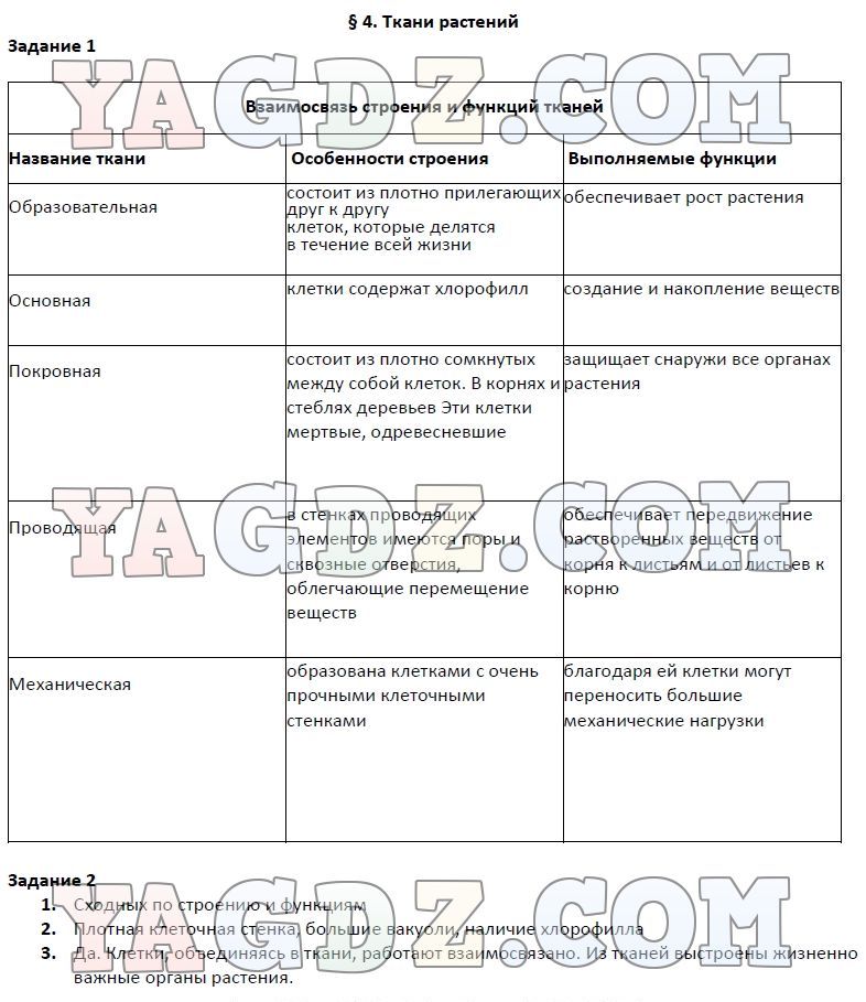 Биология составьте план параграфа