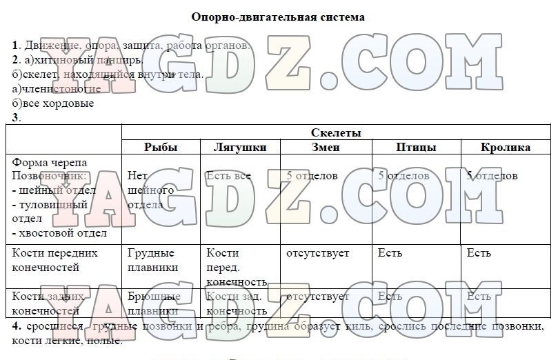 Биология опорно двигательная система 7 класс презентация