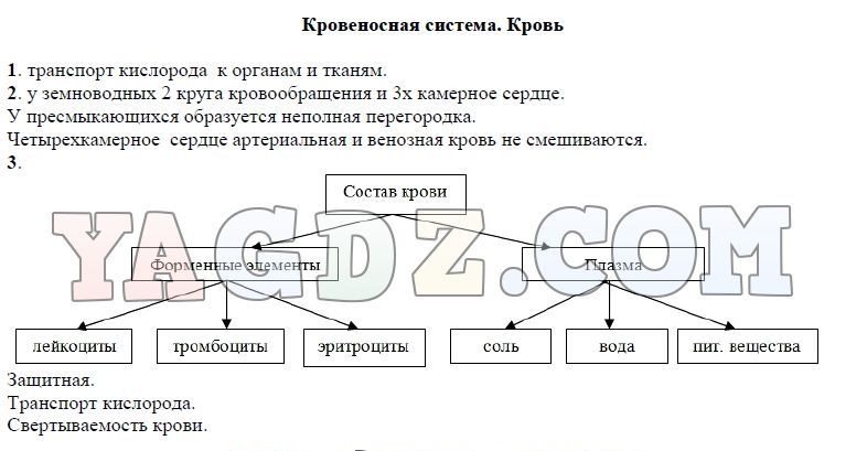 Презентация кровеносная система кровь биология 7 класс латюшин