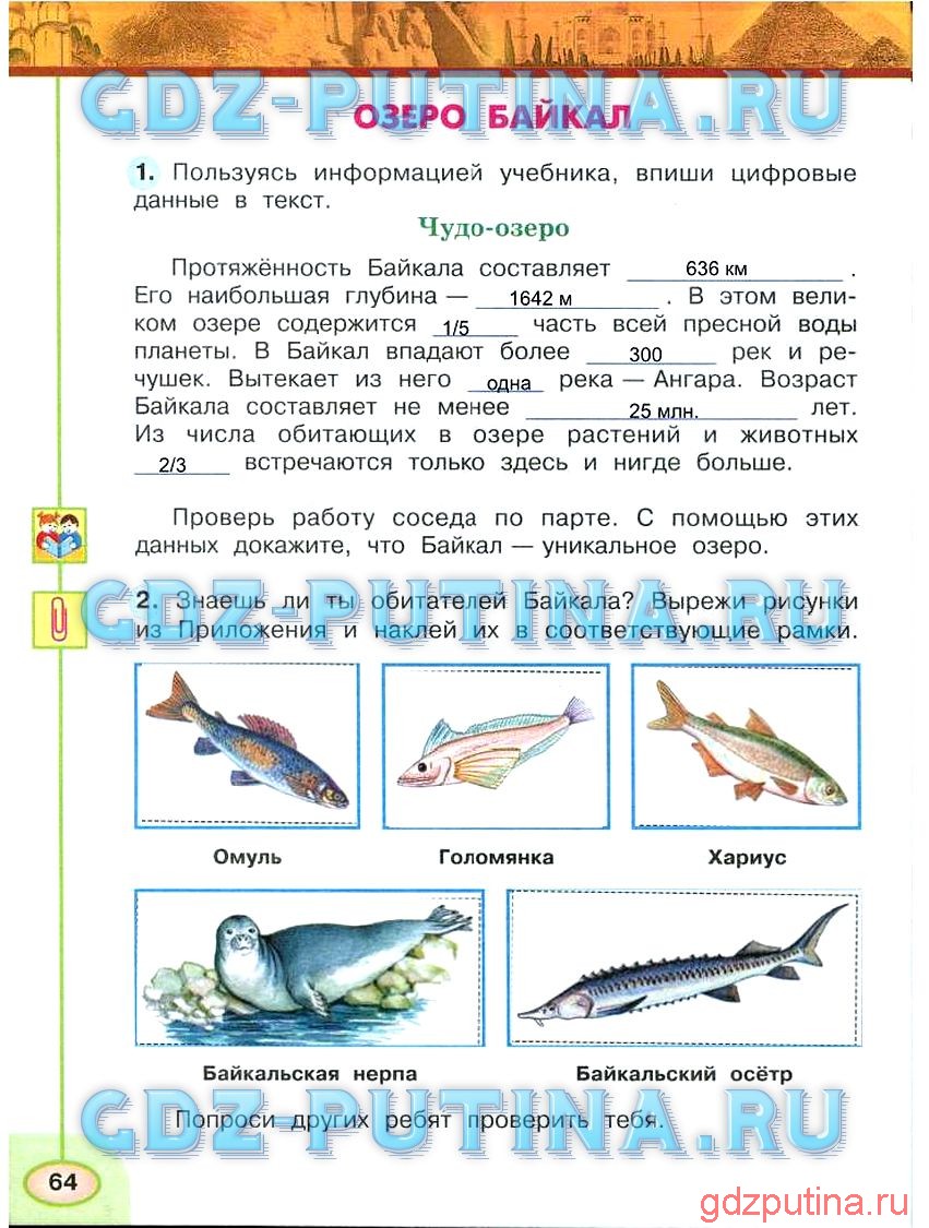 Окружающий мир 2 стр 64. Окружающий мир 3 класс рабочая тетрадь 2 часть Плешаков Новицкая гдз.