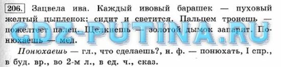 Русский язык 4 класс 2 упр 176. Русский язык 4 класс 2 часть страница 100 упражнение 206.
